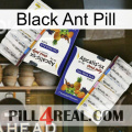 Black Ant Pill 12